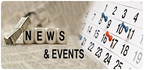 big fly news